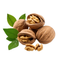 AI generated Walnut Studio Shot Isolated on transparent Background, Food Photography, png