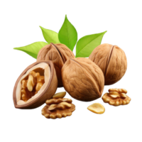 AI generated Walnut Studio Shot Isolated on transparent Background, Food Photography, png