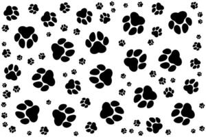 Paw premium pattern on white background vector