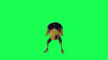 3d zombie isolated green screen gets headache front angle video
