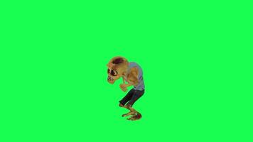 Cute zombie dancing chicken green screen right angle video