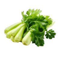 AI generated celery transparent background PNG