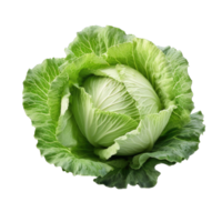 AI generated Cabbage on transparent background PNG