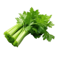 AI generated celery transparent background PNG