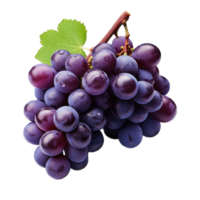 AI generated violet grapes on a Transparent background. ripe purple berries with green leaves. png