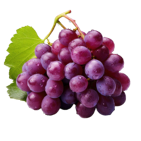 AI generated violet grapes on a Transparent background. ripe purple berries with green leaves. png