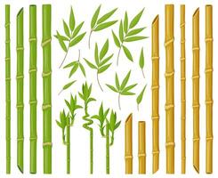 Cartoon bamboo plants. Asian bamboo stems, stalks and leaves, fresh green stick plants with foliage, natural bamboo plant vector illustration set