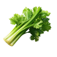 AI generated celery transparent background PNG