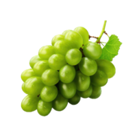 ai gerado grupo do branco uvas. em transparente fundo png