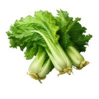 AI generated celery transparent background PNG