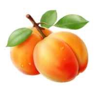 AI generated Apricot on transparent PNG