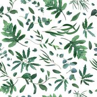 Realistic plants pattern. Seamless leaves eucalyptus, fern plant pattern, greenery foliage texture vector background