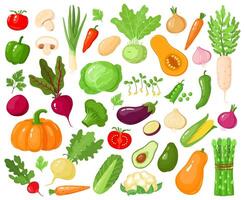 Cartoon vegetables. Vegan veggies food, tomato, pumpkin, zucchini and carrot, vegetarian fresh raw vegetable vector illustration icons set