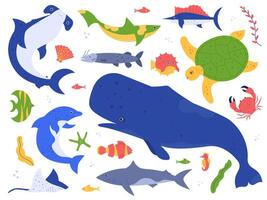 mar animales especies. Oceano animales en su natural hábitat. linda ballena, delfín, tiburón y Tortuga vector ilustración colocar. submarino mundo embalar. agua plantas algas marinas y algas colección