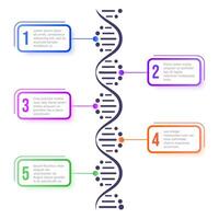 DNA molecule concept. Abstract diagram, molecule helix spiral structure science scheme, biology genetic chromosome vector systematic infographic concept. Presentation layout design