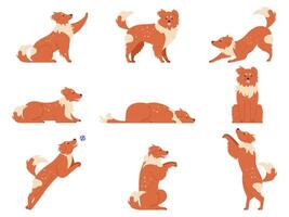 Dog movement. Funny dogs activities, cute animal character in various poses running, playing and sleeping. Dogs action training and tricks vector isolated illustration set