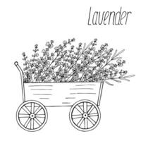 Lavender cart, vector floral black hand drawn isolated elements for design on white background