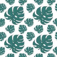 Tropical green leaves monstera seamless pattern on a white background. Vector hand drawn print for design, fabric, textile, wallpapers