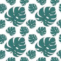 Tropical green leaves monstera seamless pattern on a white background. Vector hand drawn print for design, fabric, textile, wallpapers