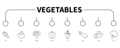 Vegetables banner web icon vector illustration concept