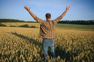 Happy farmer proudly standing in wheat field. Rich harvest of cultivated cereal crop. photo