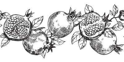 seamless border of fruits and pomegranate leaves, vector pattern in sketch style.