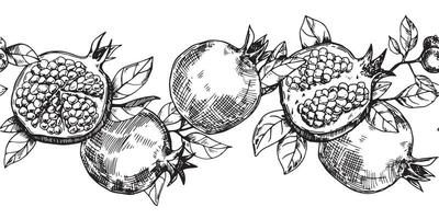 seamless border of fruits and pomegranate leaves, vector pattern in sketch style.