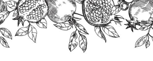 seamless border of fruits and pomegranate leaves, vector pattern in sketch style.