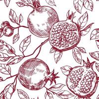 seamless pattern of fruits and pomegranate leaves, vector pattern in sketch style. hand drawing, engraving