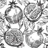 seamless pattern of fruits and pomegranate leaves, vector pattern in sketch style. hand drawing, engraving