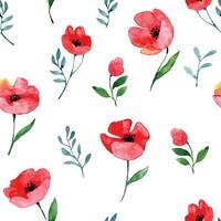 watercolor seamless pattern with wildflowers. red poppies on a white background, abstract print vector