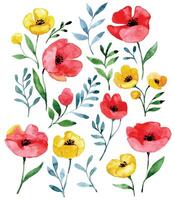 watercolor set with wildflowers. red and yellow poppies on a white background, abstract print vector