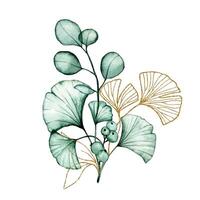 bouquet of transparent eucalyptus and ginkgo leaves and gold elements. watercolor drawing vector