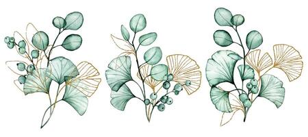 set of bouquets of transparent eucalyptus and ginkgo leaves and gold elements. watercolor drawing vector