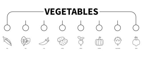 Vegetables banner web icon vector illustration concept