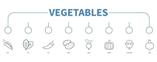 Vegetables banner web icon vector illustration concept
