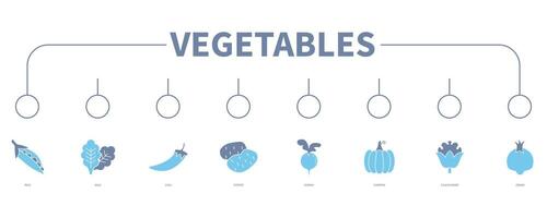 Vegetables banner web icon vector illustration concept