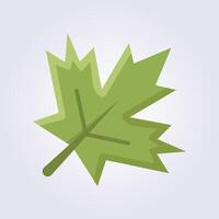 flat icon of maple leaf vector logo design