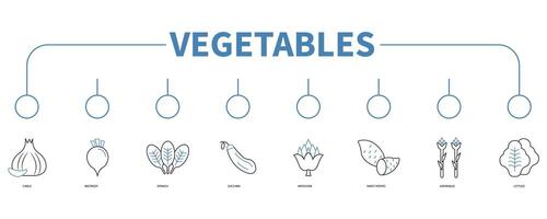 Vegetables banner web icon vector illustration concept