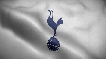 Tottenham Hotspur FC England White Logo Flag Loop Background 4K video