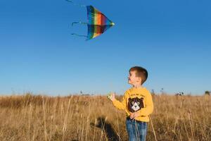 Little boy playing with kite on meadow. Childhood concept photo