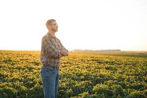 Agronomist inspecting soya bean crops growing in the farm field. Agriculture production concept. young agronomist examines soybean crop on field in summer. Farmer on soybean field photo