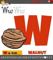 letter W from alphabet with cartoon walnut object vector