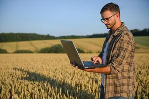 Farmer examining crops crouching in wheat farm photo