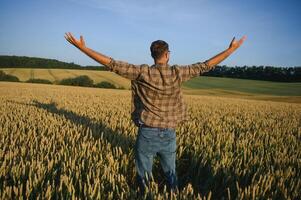 Sunny picture of happy farmer looking up in sky and outstretching hands. Stand in middle or wheat field and enjoy. Ripe harvest time. Sunrise or sunset photo