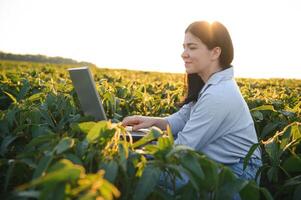 Female farmer or agronomist examining green soybean plants in field photo