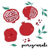 Set of pomegranate fruits and pieces isolate on a white background. Vector graphics.