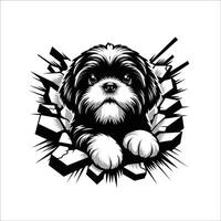 ai generado shih tzu perro mirando rompe mediante un penetración pared vector