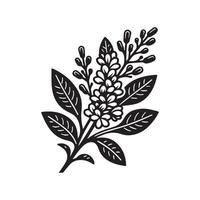 AI generated Hoary stock flower silhouette black and white illustration vector