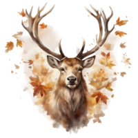 AI generated A majestic stag with antlers adorned with autumn leaves, rendered in a detailed watercolor with a focus on warm browns and golds png